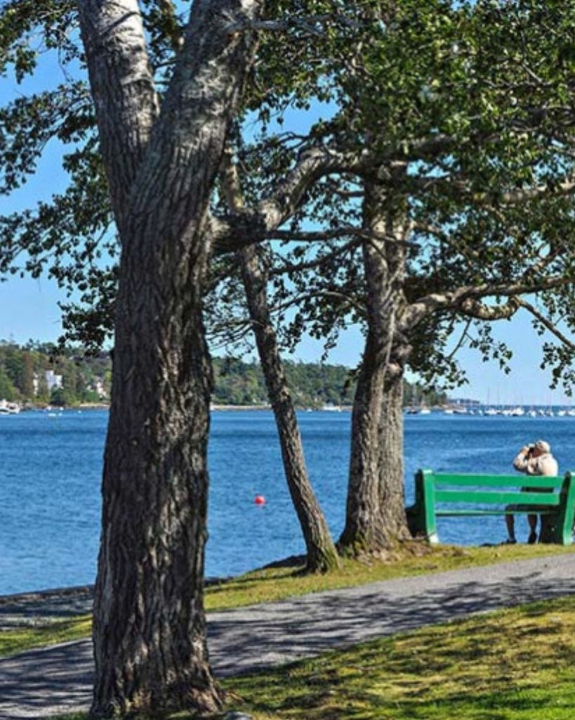 Armdale, Halifax Nova Scotia Halifax Neighbourhood Guide