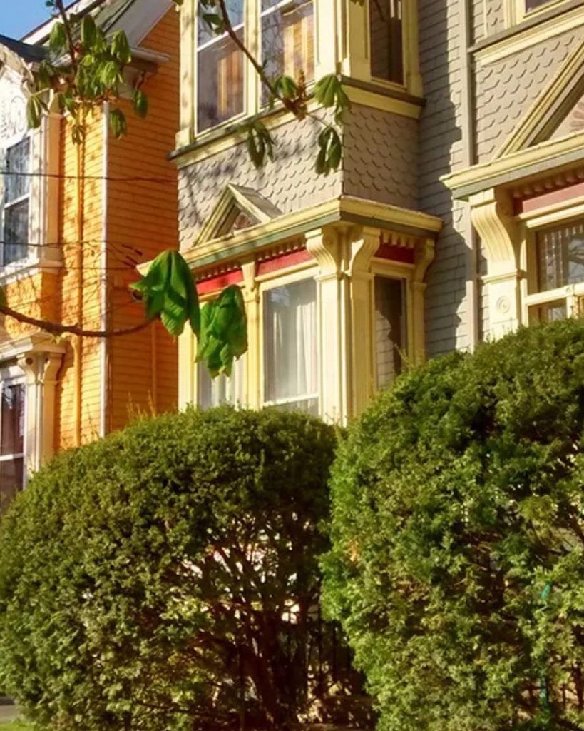 South End Halifax, Halifax Nova Scotia  Halifax Neighbourhood Guide